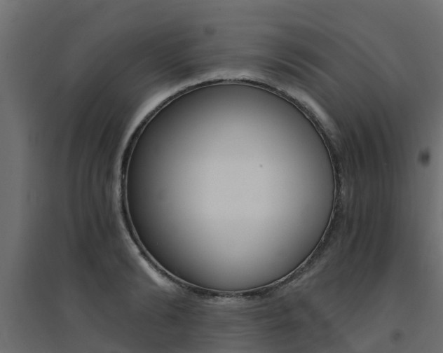 X0000094900894200711291020