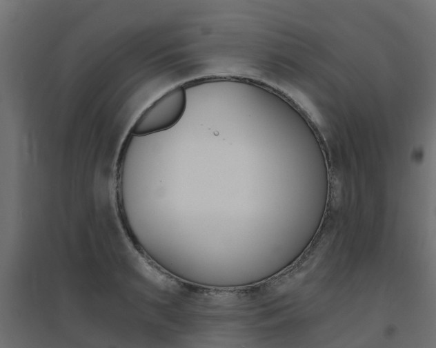 X0000094900895200711291020