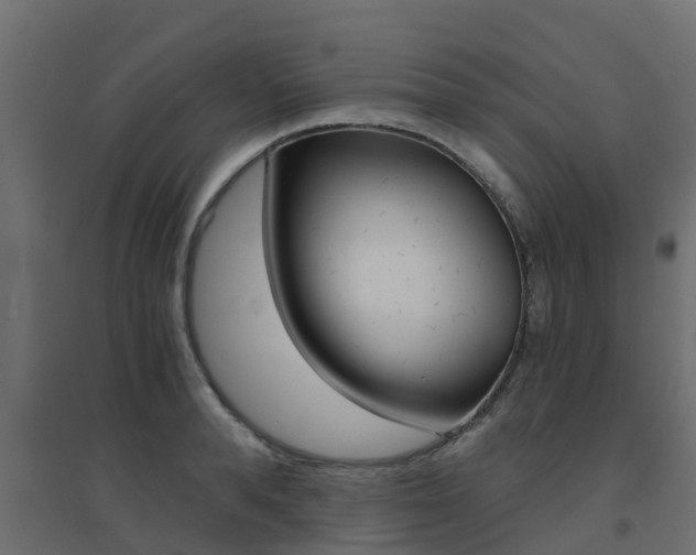 X0000094900896200711291020