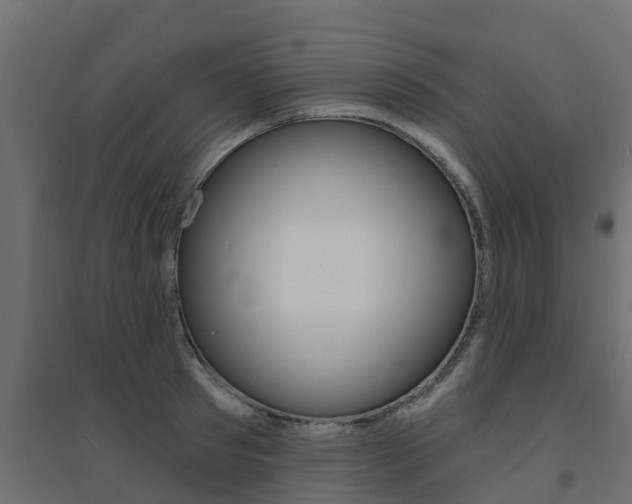 X0000094900897200711291020