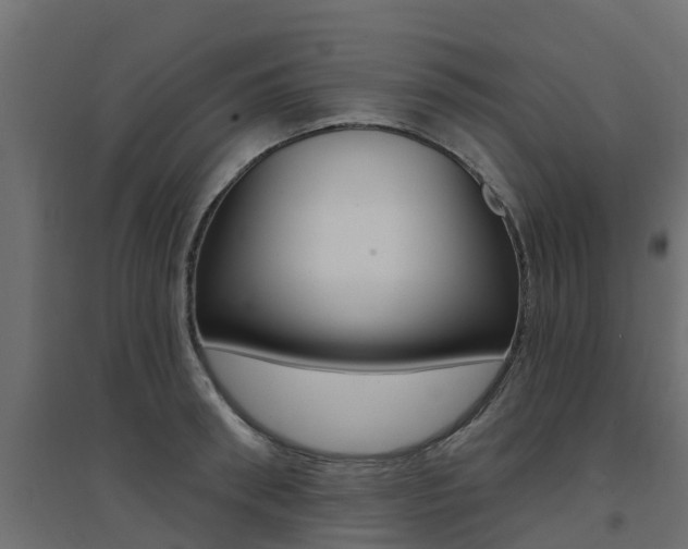 X0000094900898200711291020