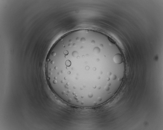 X0000094900899200711291020