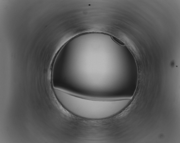 X0000094900900200711291020