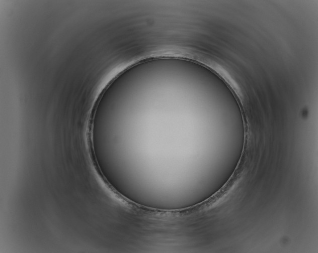 X0000094900901200711291020