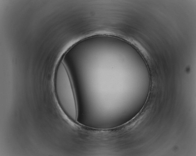 X0000094900902200711291020
