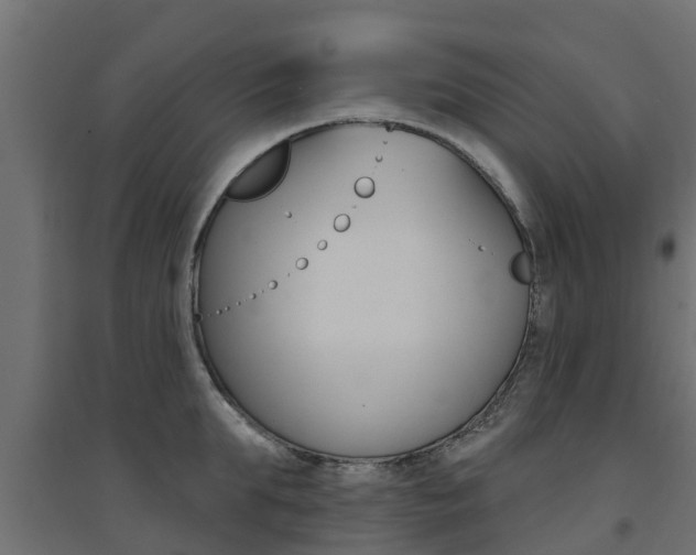X0000094900903200711291020