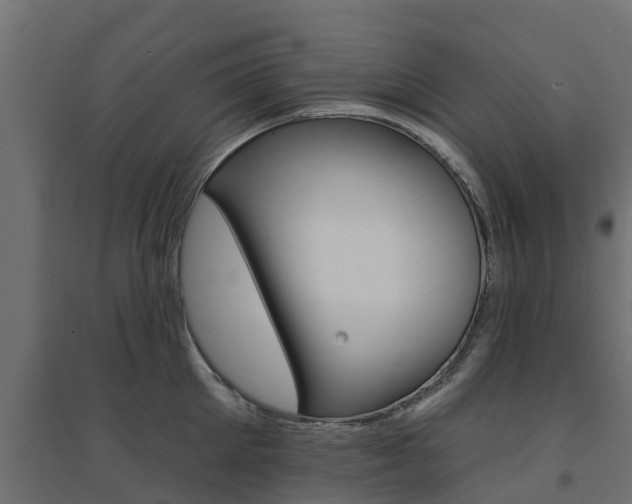 X0000094900905200711291020