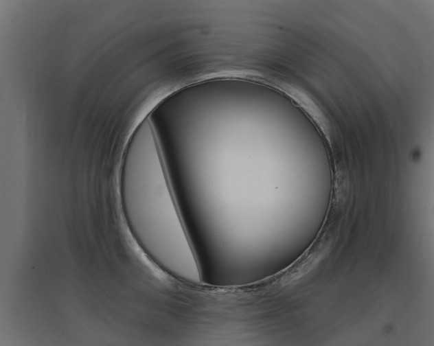 X0000094900906200711291020