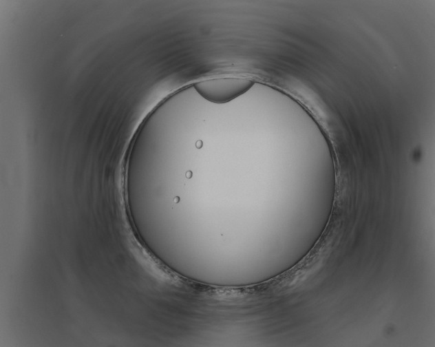 X0000094900907200711291020