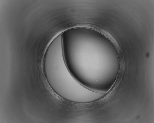 X0000094900908200711291020
