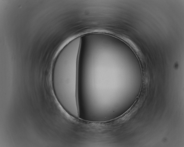 X0000094900910200711291020