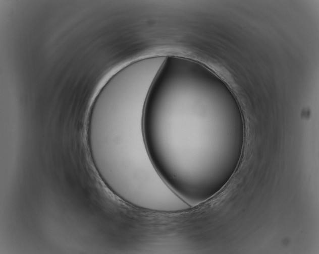 X0000094900912200711291019
