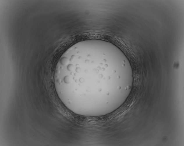 X0000094900913200711291019