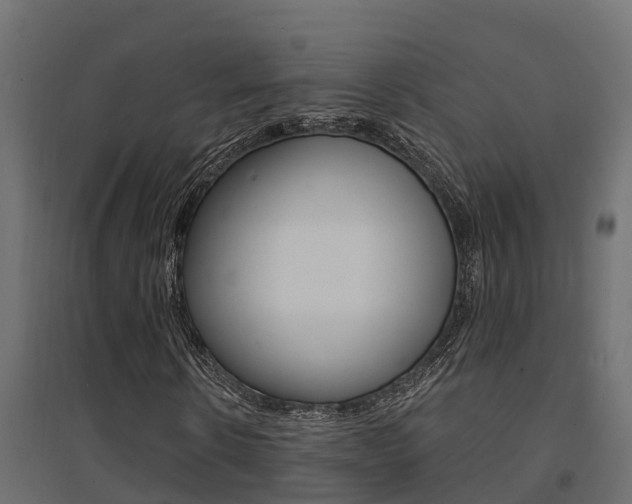 X0000094900914200711291019