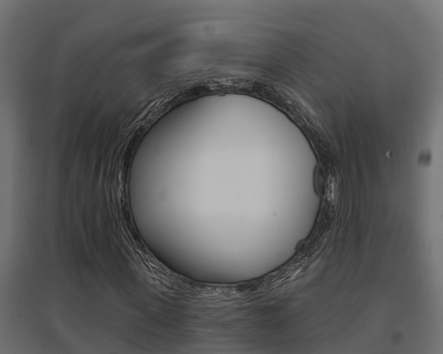 X0000094900915200711291019