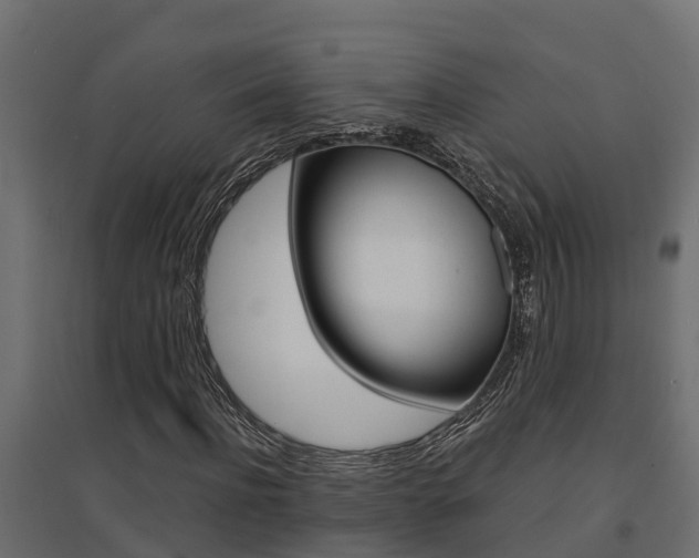 X0000094900916200711291019