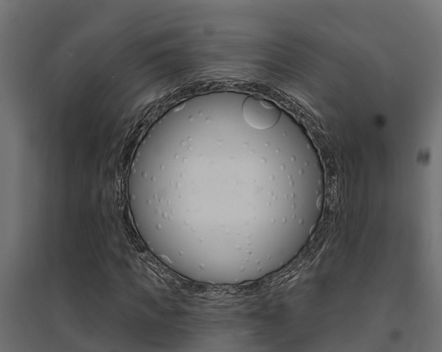 X0000094900917200711291019