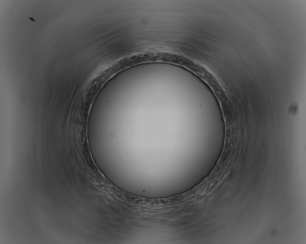 X0000094900919200711291019