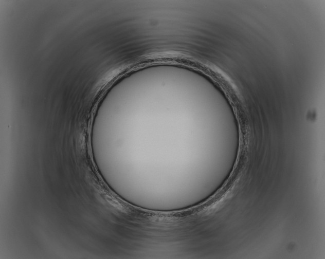 X0000094900921200711291019