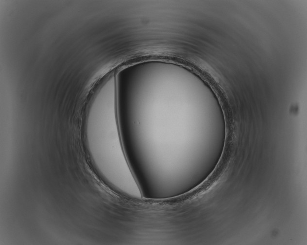 X0000094900922200711291019