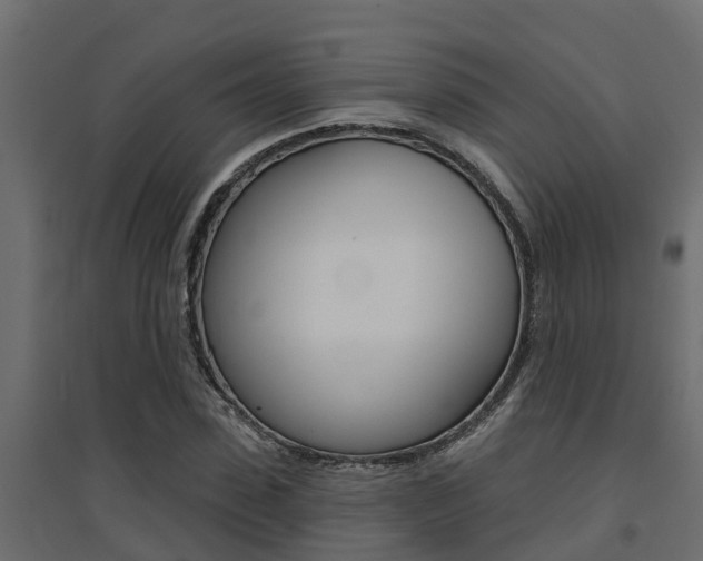 X0000094900923200711291019