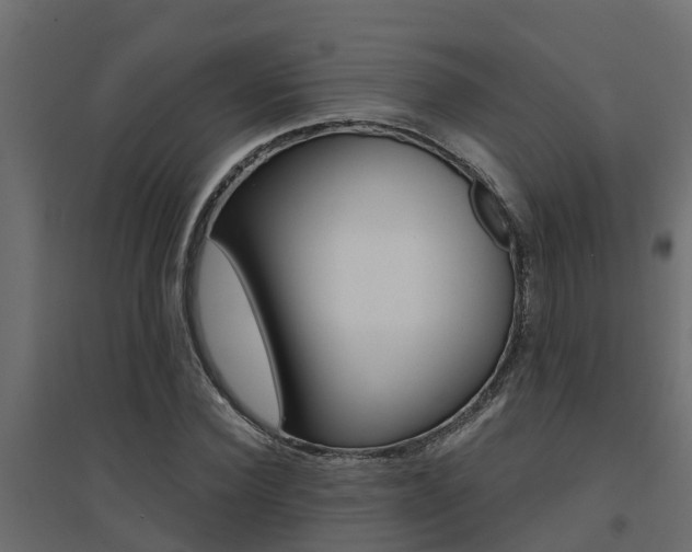 X0000094900924200711291019