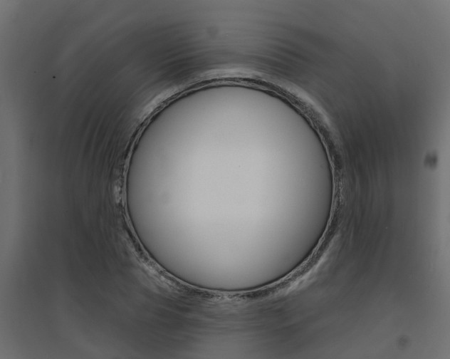 X0000094900929200711291019