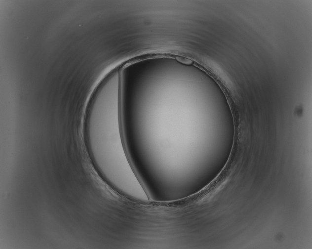 X0000094900932200711291019