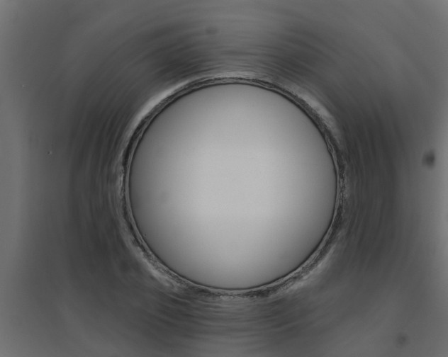 X0000094900933200711291019