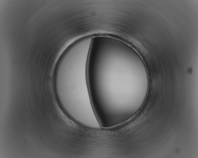 X0000094900934200711291019