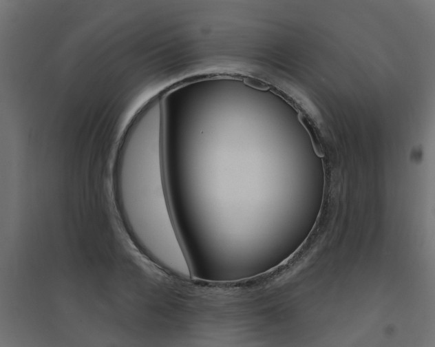 X0000094900936200711291019