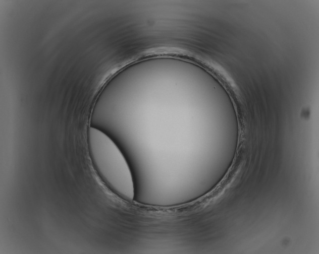 X0000094900937200711291019