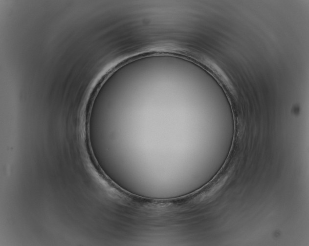 X0000094900939200711291019