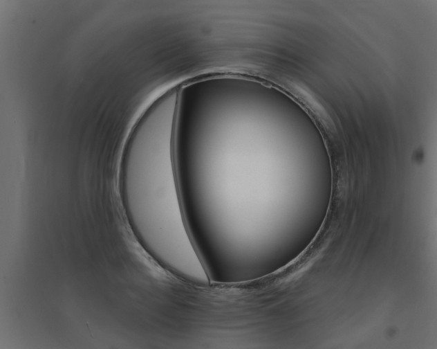 X0000094900940200711291019