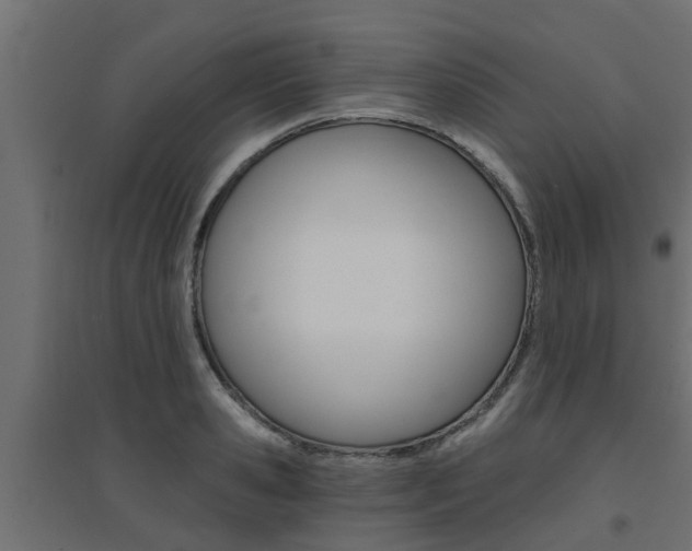 X0000094900941200711291019