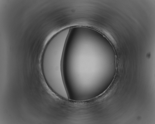X0000094900944200711291019