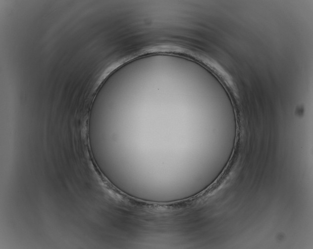 X0000094900945200711291019