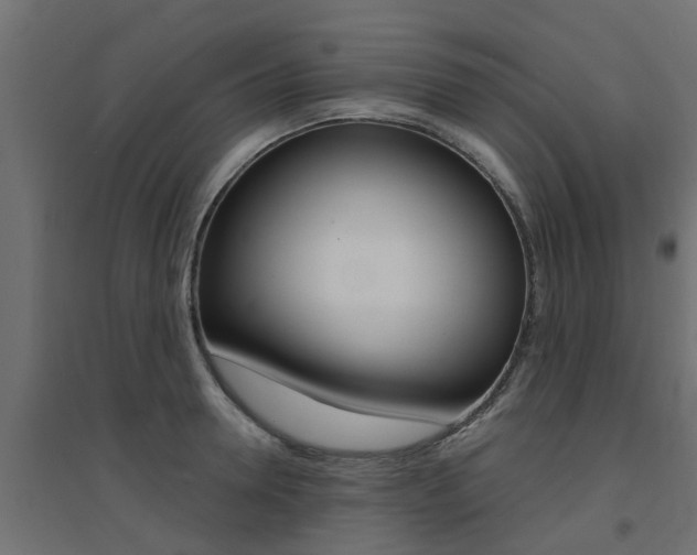 X0000094900946200711291019