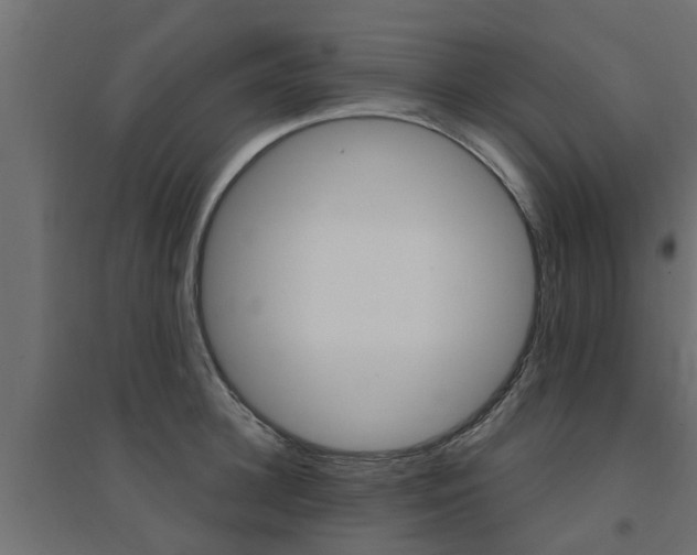 X0000094900948200711291019