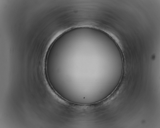X0000094900949200711291019