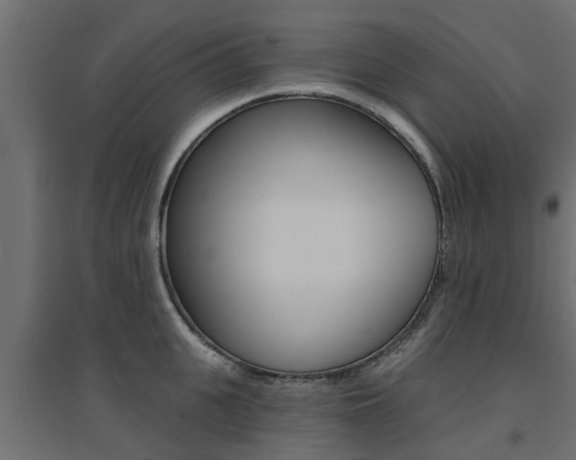 X0000094900951200711291019