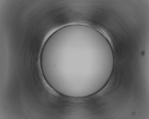 X0000094900952200711291019