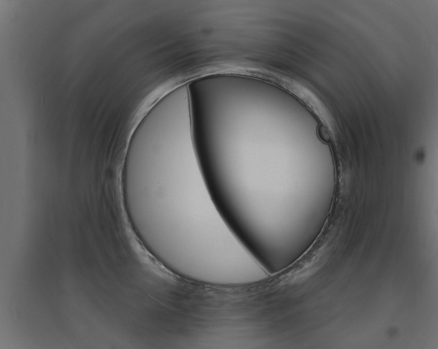 X0000094900954200711291019