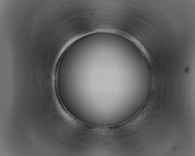 X0000094900955200711291019