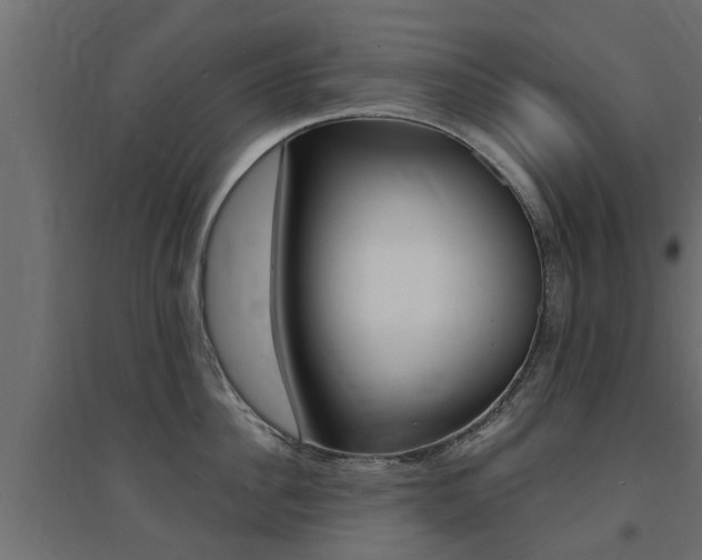 X0000094900956200711291019