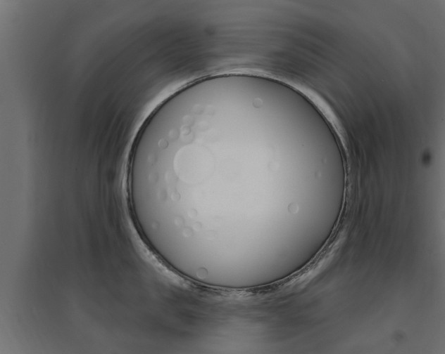 X0000094900957200711291019