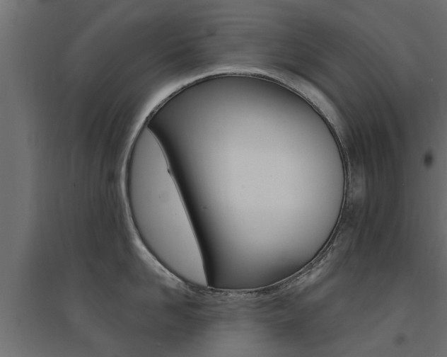 X0000094900958200711291019