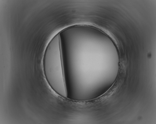 X0000094900959200711291019