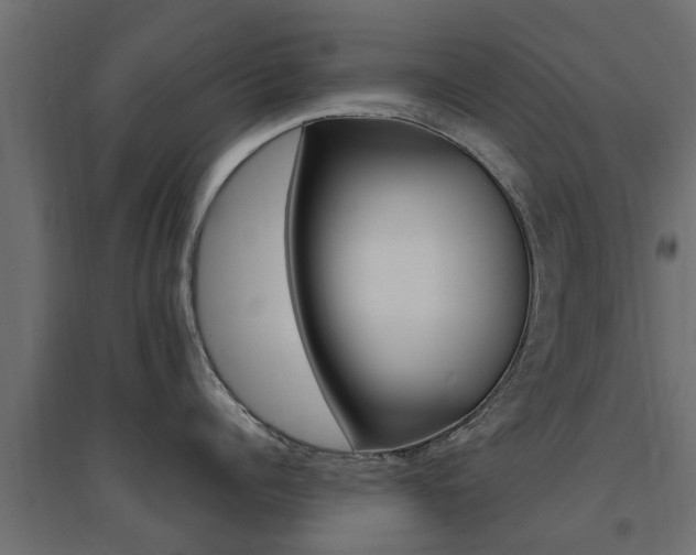 X0000094900960200711291019