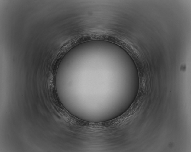 X0000094900964200711291019